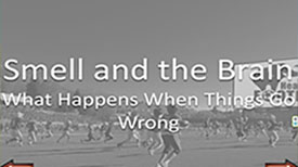 Word Search Head Safe Football with Slideshow